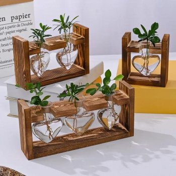 Heart-Shaped Hydroponic Vase: Wooden Frame Decor