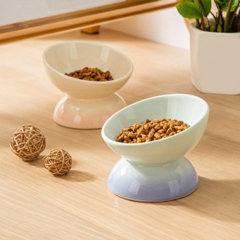 Tilted Ceramic Pet Bowl: Cleaner Meals for Cats & Dogs