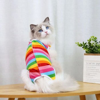 Anti-Licking Pet Surgery Suit: Post-Op Recovery Guide